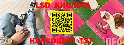 прущие грибы Волжск
