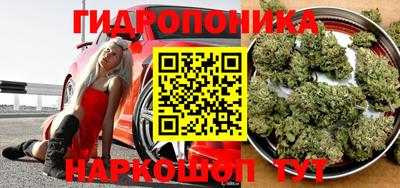дмт Волгодонск