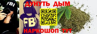 прущие грибы Волжск