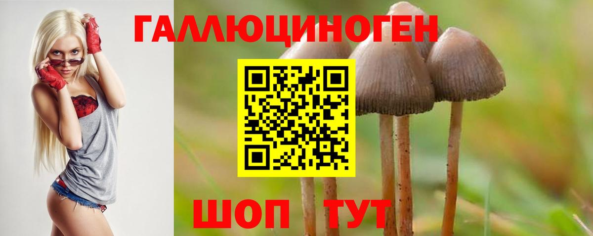 Псилоцибиновые грибы мицелий  Вход с VPN  Фрязино 